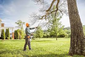 Best Tree Removal Services  in Leonia, NJ